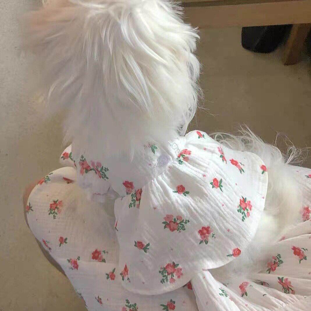 马尔济斯专用衣服约克夏小狗狗裙子夏天夏季薄款透气洋装小体犬