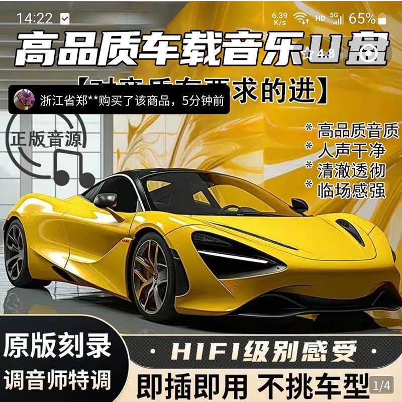 驰皓车载U盘歌曲2025新款无损高品音质音乐优盘阿张推荐柏林之声