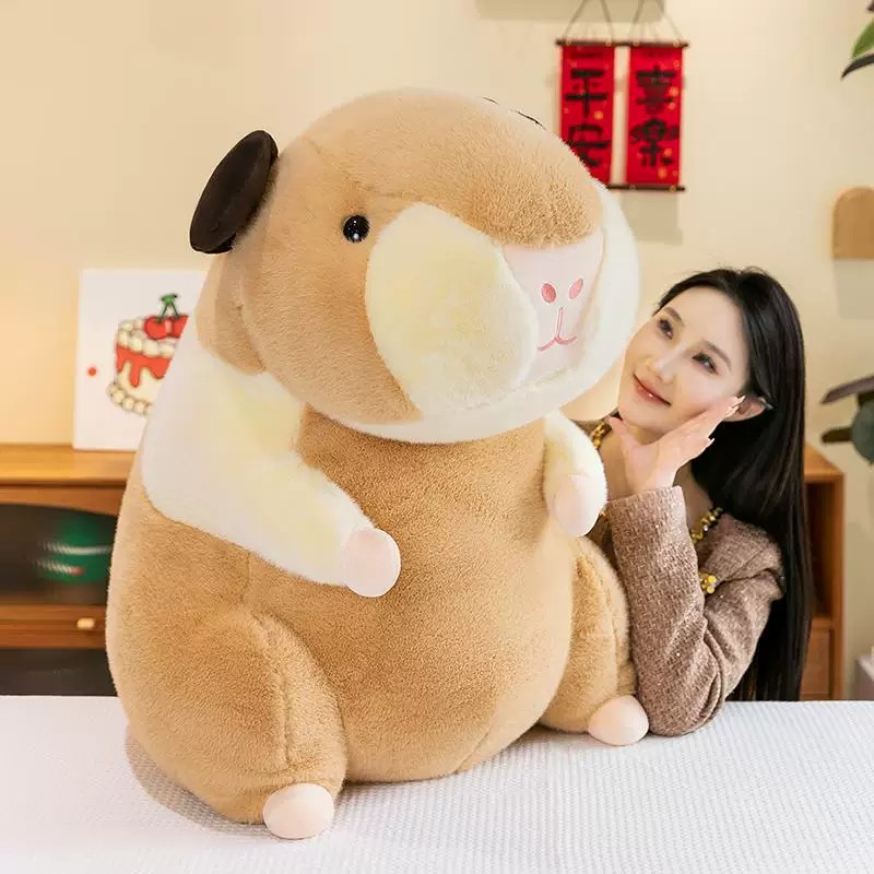荷兰猪公仔布娃娃毛绒玩具仓鼠