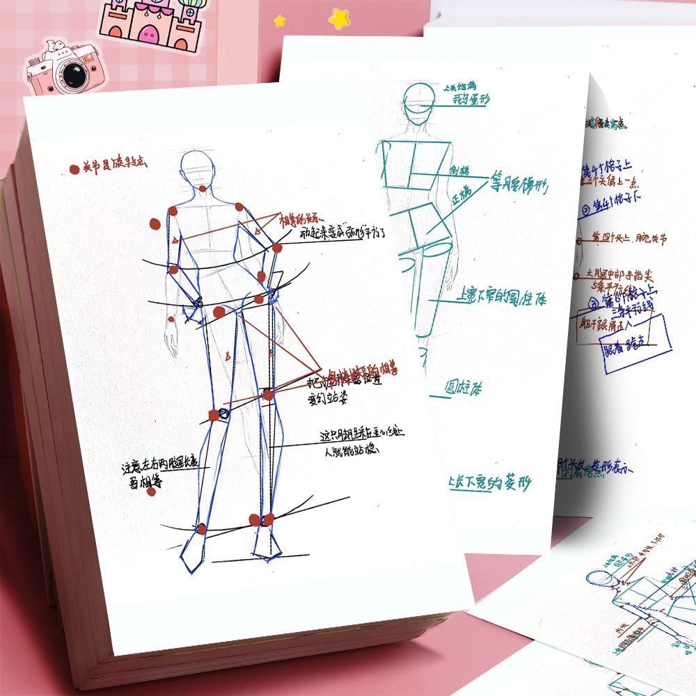 人体结构贴纸人体动态结构绘画练习解析贴纸零基础学画画教程临摹