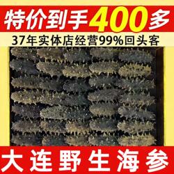 大连纯野生海参干货淡干海参辽参刺参长岛海参深海辽刺参礼盒顺丰