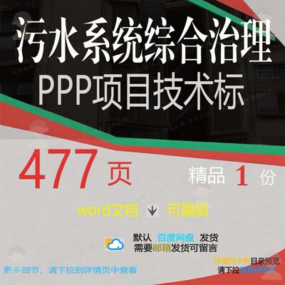 污水系统综合治理PPP项目技术标 方案项污水系统综合治理目技