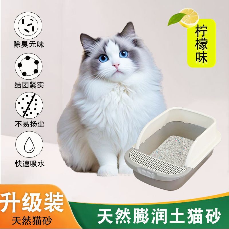 猫砂包邮20公斤除臭结团