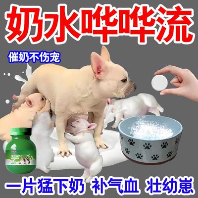 宠物催奶片猫狗下乳猫犬