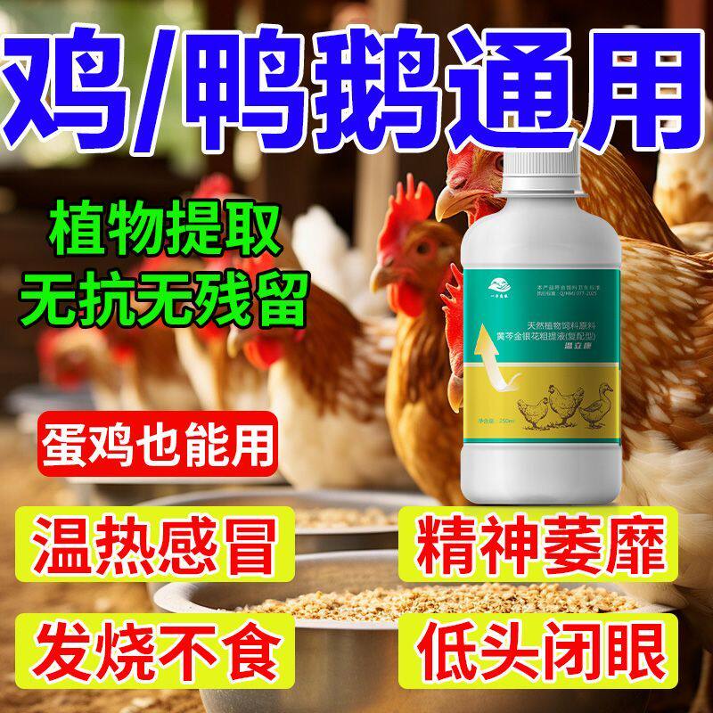 温立康热销养鸡鸭鹅鸽家禽用鸡药专家治疗鸡瘟流感咳嗽呼噜怪叫