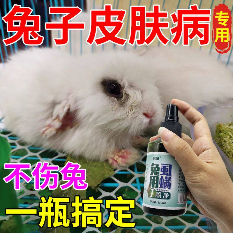兔子皮肤病特效喷雾兔癣真菌感染螨虫脱毛皮屑疥螨皮炎外用兔子