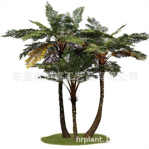 东莞仿真植物桫椤树仿真桫椤树系列各种景观工程仿真娑罗树定制