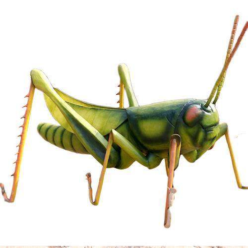 动物昆虫模型会动蝗虫蚂蚱标本大型电机恐龙户外模型厂家直销,玩具/童车/益智/积木/模型,其他模型玩具,淘宝优惠券,粉丝福利购,淘宝优惠卷