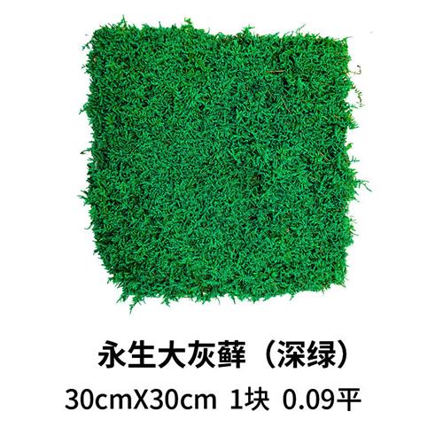 永生苔藓大灰藓室内枯山水造景装饰画植物墙仿真永生花青苔盆景图片