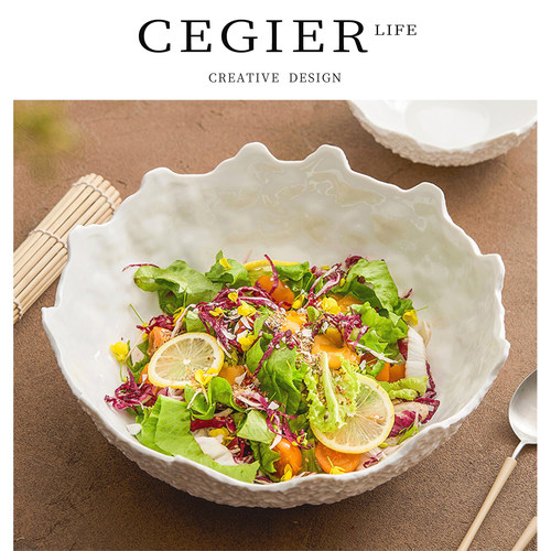 Cegier质感出众陶瓷ins风沙拉碗
