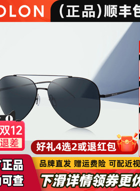 BOLON暴龙太阳镜男驾驶镜飞行员蛤蟆镜开车专用偏光墨镜男BL8020