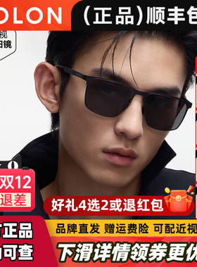 暴龙眼镜25新品偏光防紫外线方框太阳镜开车专用驾驶墨镜男BL8126