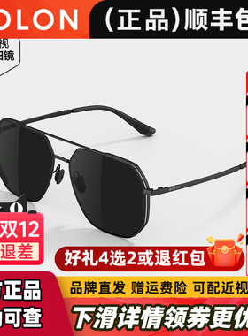 BOLON暴龙眼镜25新品偏光太阳镜蛤蟆镜开车驾驶墨镜男正品BL8121