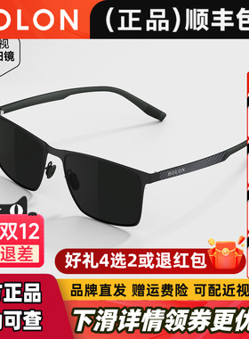 暴龙眼镜25新品偏光防紫外线钓鱼方框太阳镜开车专用墨镜男BL8119