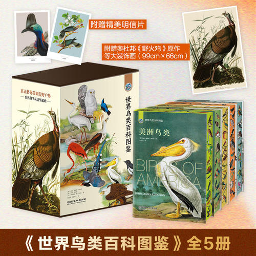【赠明信片+刷边版】世界鸟类百科图鉴 全套5册 精装硬壳科普类书籍自然知识动物百科大全青少年儿童课外阅读初中生物知识写实插画