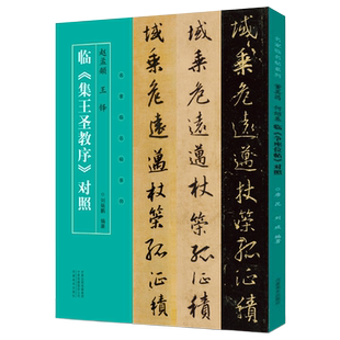 正版现货 赵孟頫王铎临怀仁集王羲之圣教序对照 赵孟俯临圣教序 名家临名碑帖系列临本原碑书法集字字帖临摹本 河南美术出版社