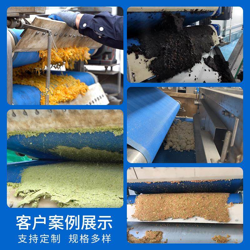 青梅李子杏子榨汁机酿酒果酒带式压榨机水果去核榨汁设备,清洗/食品/商业设备,果蔬加工设备,淘宝优惠券,粉丝福利购,淘宝优惠卷