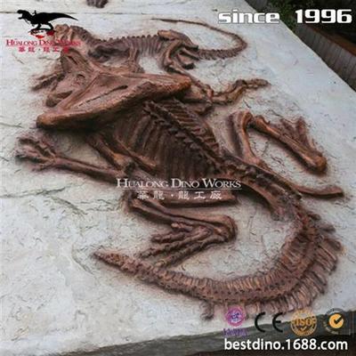 仿真动物恐龙骨架化石模型博物馆讲解展览主题公园引流艺术品摆件