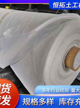 现货速发 两布复一膜河IXG护道坡蓄水池鱼塘工养殖防渗合土膜