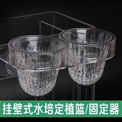 鱼缸水培植物篮水草种植杯壁挂式吸盘款植物定植篮多功能造景大号