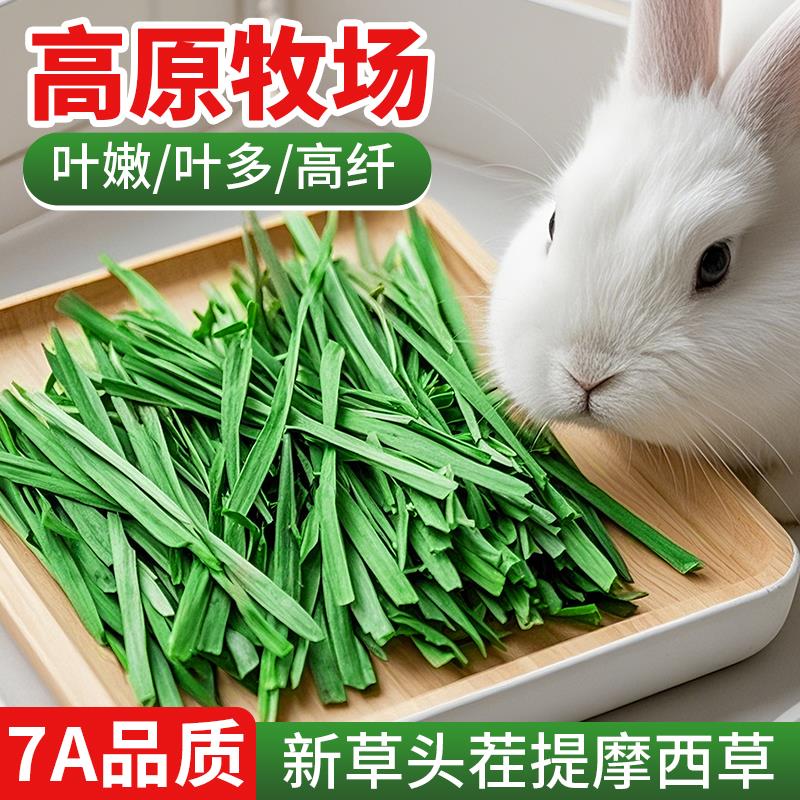 提摩西草烘干兔粮兔子饲料龙猫荷兰猪豚鼠牧草北提草段兔干草段