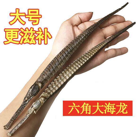 六角海龙正宗大刁海龙干货煲汤泡酒料养生滋补中药材天然无硫