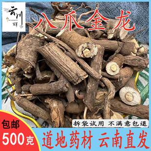 云南野生中药材八爪金龙 八爪龙 八爪根 百两金 开喉箭 正品包邮