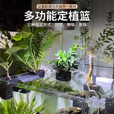 可伸缩鱼缸水培篮养鱼定植篮水培鱼缸装饰造景挂篮水族水草固定器