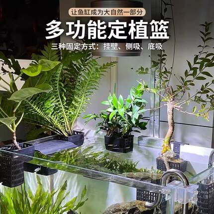 可伸缩鱼缸水培篮养鱼定植篮水培鱼缸装饰造景挂篮水族水草固定器