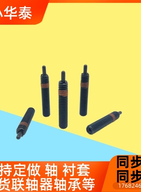 ZAZ01/03/02/12/13/M5/M6/m8弹簧PJL15柱塞PJH4 5 6 8 10 12 16-3