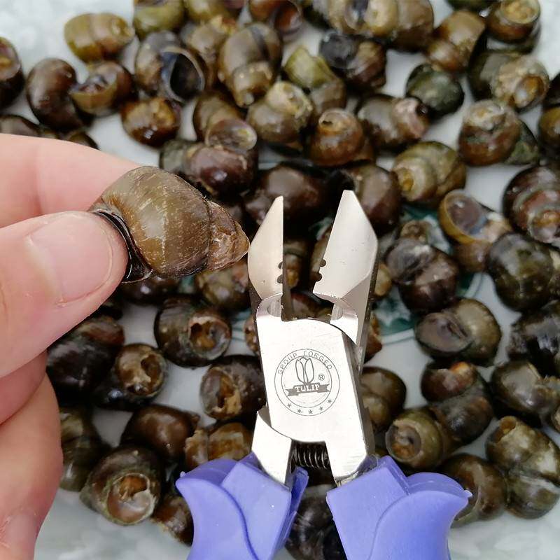 剪田螺神器田螺剪尾器夹剪螺蛳尾钳机剪田螺去尾钳工具剪螺蛳神器