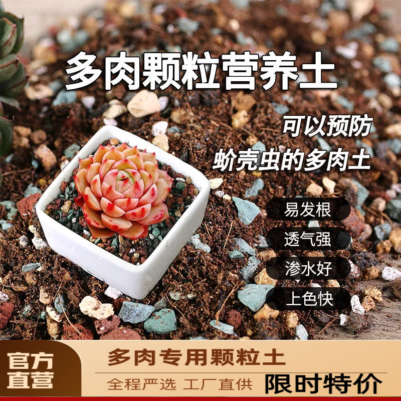 多肉颗粒土多肉土专用营养土壤种植土泥铺面石纯颗粒泥炭花土盆栽