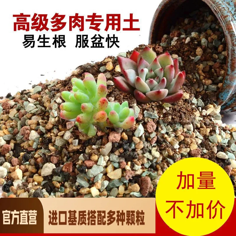 多肉土专用颗粒营养土植物进口泥无机肥