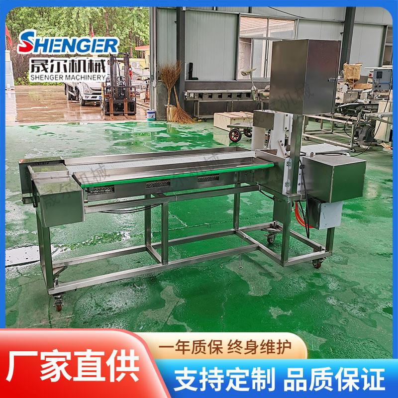 商用豆制品辣条穿串机 牛肚鸭肠小串穿串机 全自动肉块穿块机设备