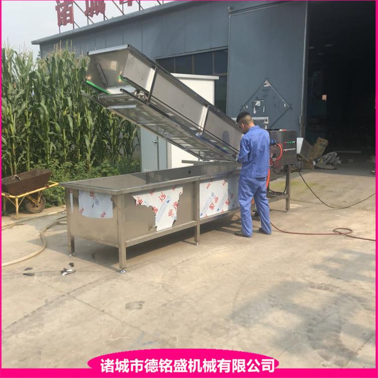 牛肉丸子虾仁挂冰机 包冰衣流水线 冷冻带鱼段包衣挂冰机