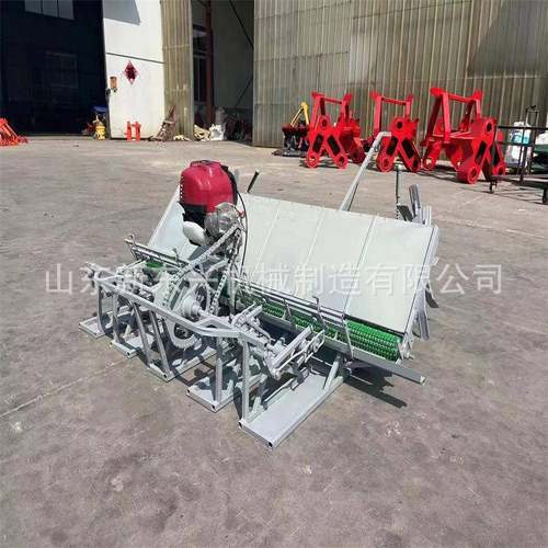 插秧机 新款水稻田插秧机 手推前置电启动插秧机自走式水稻种植机