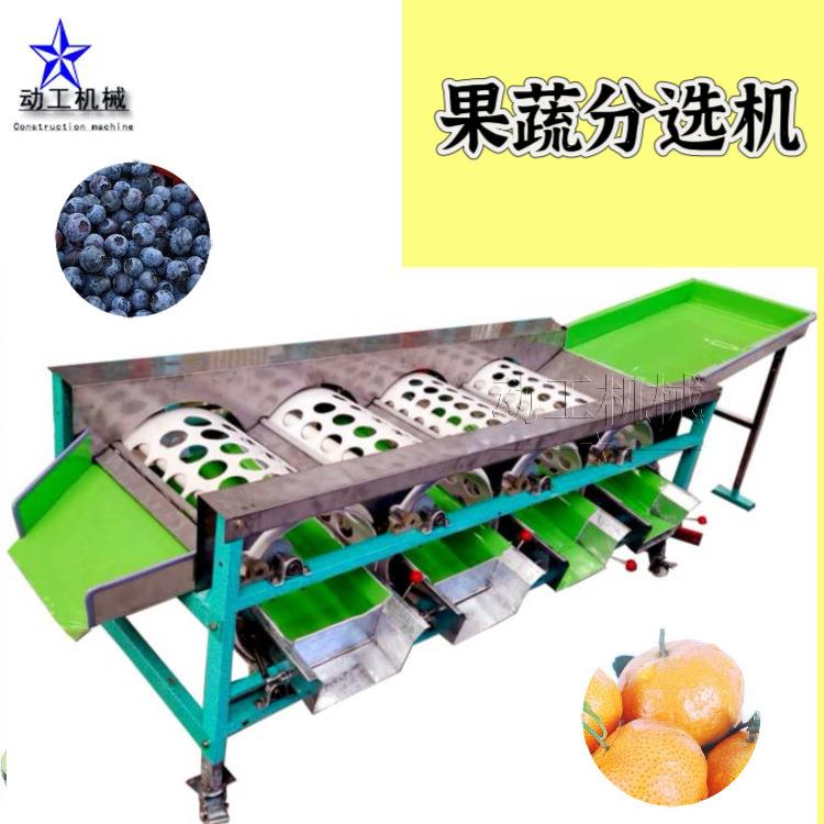 滚筒式沃柑分大小设备 商用杨梅分级机 轨道式百合球马蹄分拣机