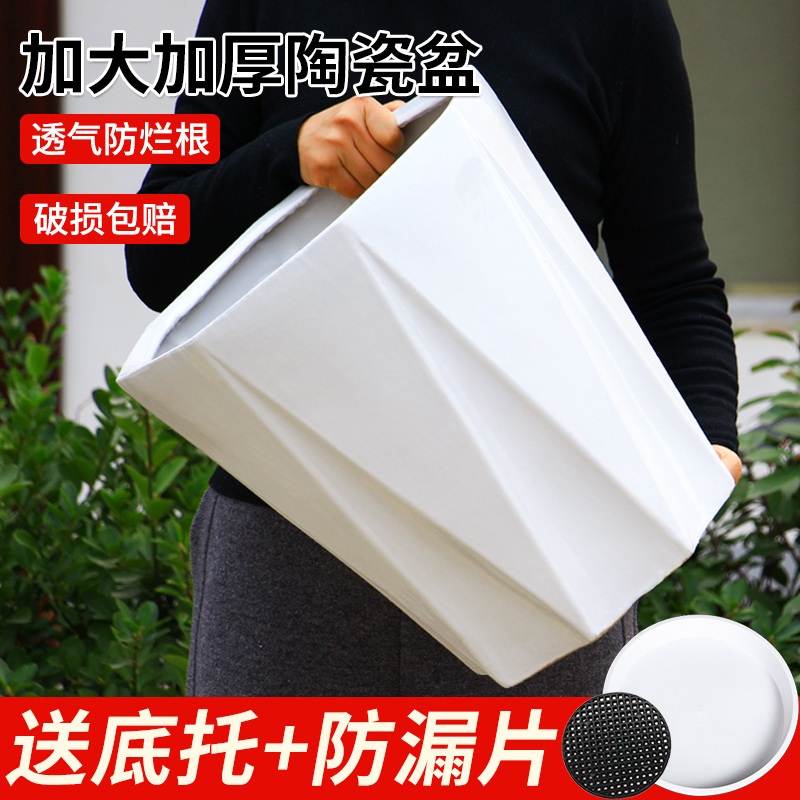 陶瓷花盆特大号带托盘欧式简约白色客厅落地盆栽特价处理绿植通用