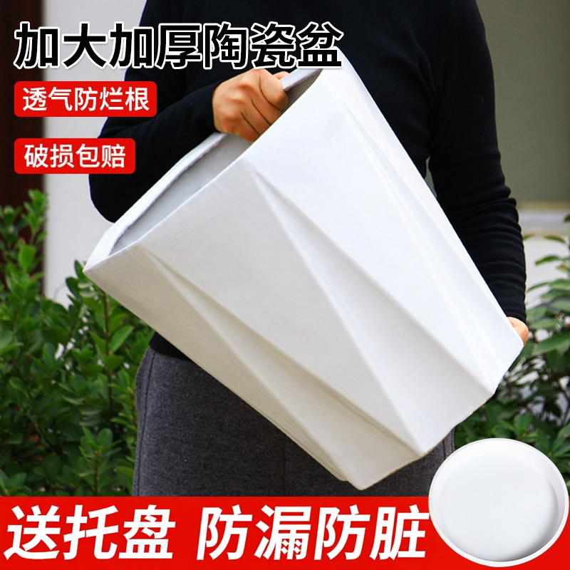 陶瓷花盆特大号带托盘欧式简约白色客厅落地盆栽特价处理绿植通用
