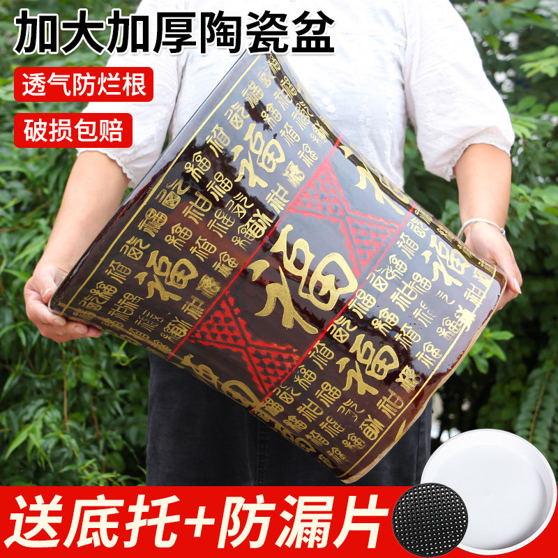 中式福字特大号陶瓷花盆发财金钱树高档客厅国风家用落地大口富贵