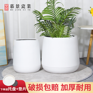 大花盆陶瓷大口径简约客厅落地家用天堂鸟虎皮兰绿植 现代欧式
