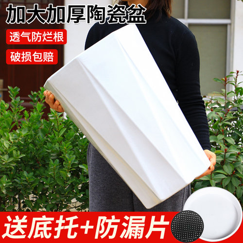 陶瓷花盆简约纯白大号特大号高级