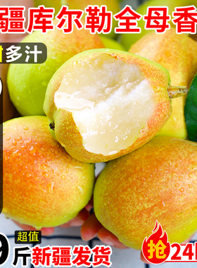 新疆库尔勒香梨全母梨子新鲜孕妇水果整箱10斤精选旗舰店包邮直发