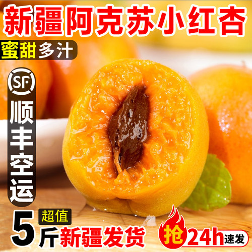 新疆阿克苏轮台甜小红杏当季鲜果