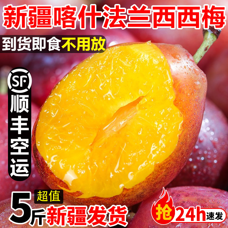 正宗新疆法兰西新鲜西梅水果5斤阿克苏喀什当季李子特级礼盒顺丰