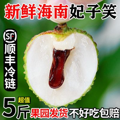 海南新鲜妃子笑荔枝5斤