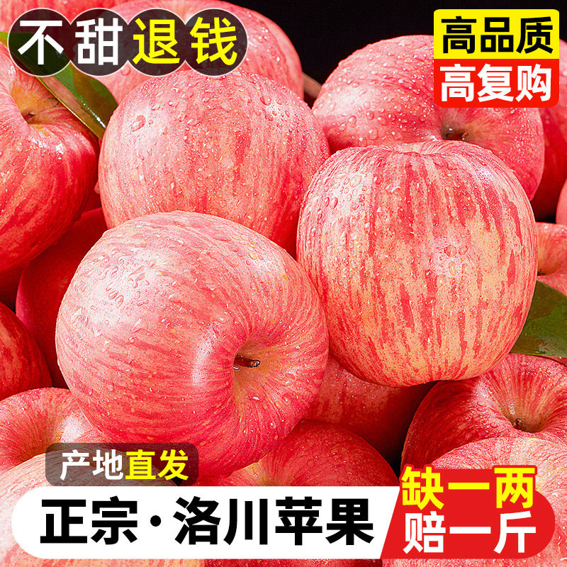 【6A品质】正宗洛川苹果产地直发