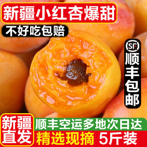 新疆阿克苏小红杏当季新鲜空运