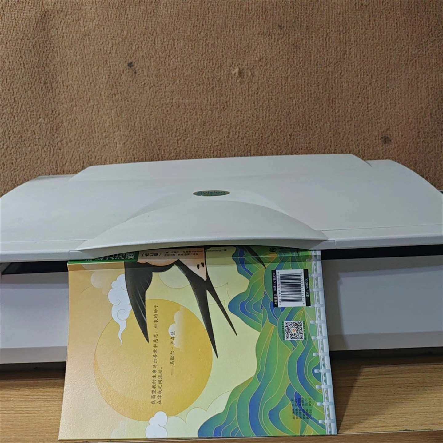 维修Avision AW6100 A3零边距扫描仪，专业扫议价