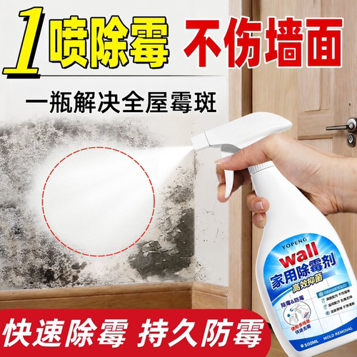 回南天墙体除霉剂白墙面去霉斑霉菌卫生间家用防霉除菌喷雾1